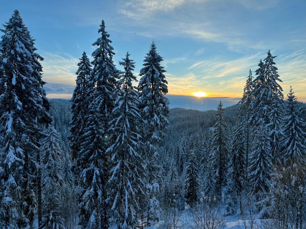 Отель Kamena Пампорово Экстерьер фото